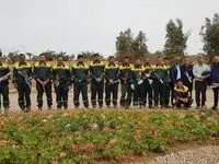 ۵۰۰ اصله نهال در فولاد خوزستان کاشته شد