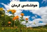 جدیدترین پیش بینی وضعیت آب و هوا کرمان فردا شنبه ۲۰ اردیبهشت ۱۴۰۴ | هواشناسی کرمان در ۲۴ ساعت آینده