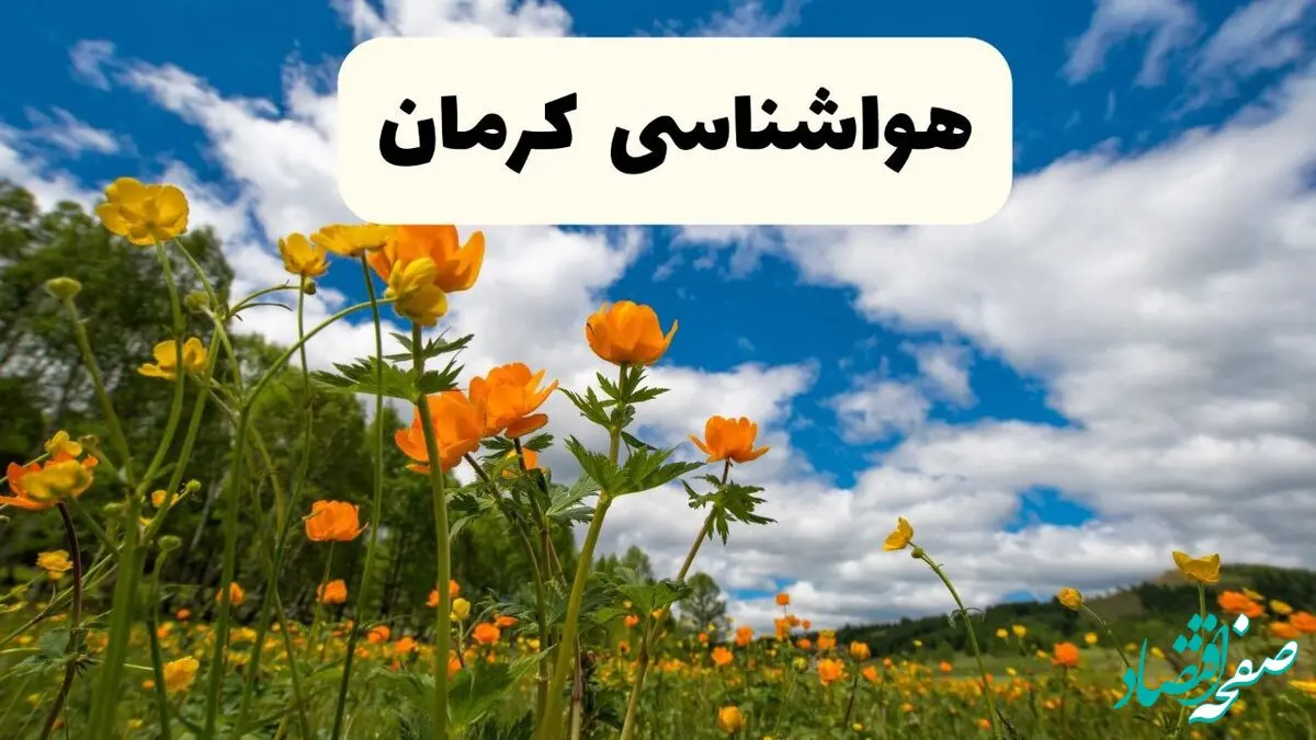 جدیدترین پیش بینی وضعیت آب و هوا کرمان فردا شنبه ۲۰ اردیبهشت ۱۴۰۴ | هواشناسی کرمان در ۲۴ ساعت آینده
