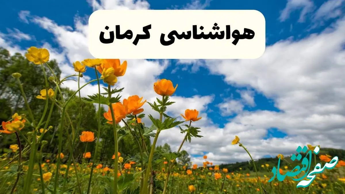 جدیدترین پیش بینی وضعیت آب و هوا کرمان فردا شنبه ۲۰ اردیبهشت ۱۴۰۴ | هواشناسی کرمان در ۲۴ ساعت آینده