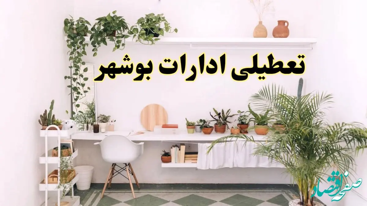 خبر فوری؛ تعطیلی ادارات استان بوشهر فردا سه شنبه ۳ تیر ۱۴۰۴ | ادارات بوشهر سه شنبه سوم تیر ۱۴۰۴ تعطیل شد؟