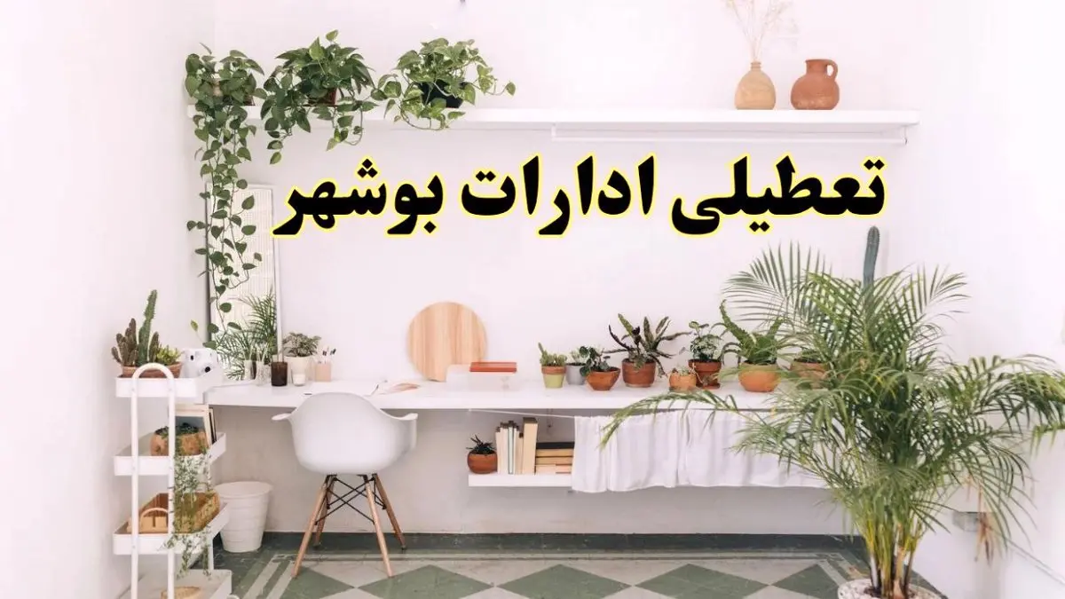 خبر فوری؛ تعطیلی ادارات استان بوشهر فردا سه شنبه ۳ تیر ۱۴۰۴ | ادارات بوشهر سه شنبه سوم تیر ۱۴۰۴ تعطیل شد؟