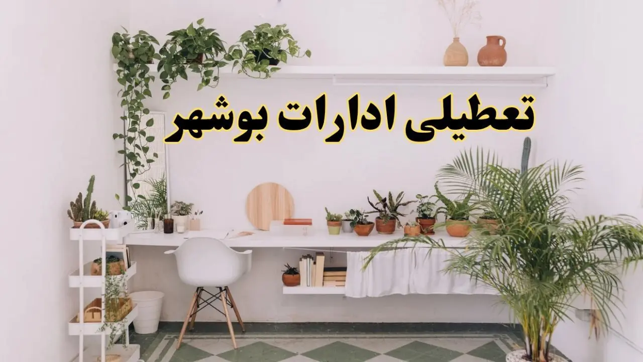 خبر فوری؛ تعطیلی ادارات استان بوشهر فردا سه شنبه ۳ تیر ۱۴۰۴ | ادارات بوشهر سه شنبه سوم تیر ۱۴۰۴ تعطیل شد؟