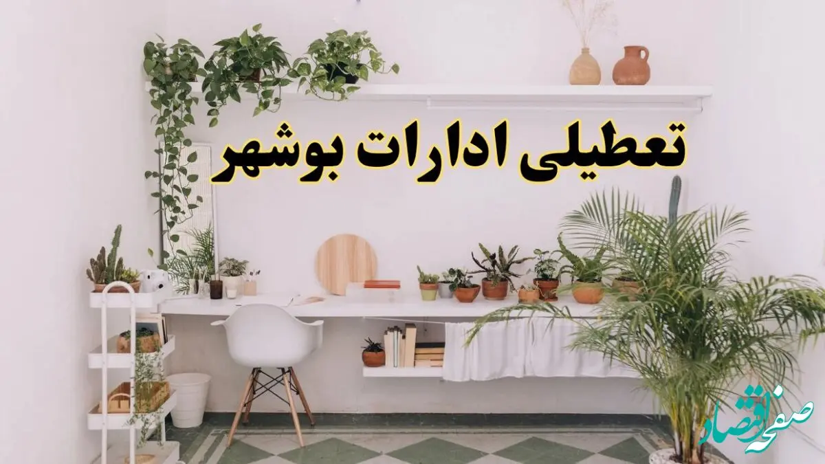 خبر فوری؛ تعطیلی ادارات استان بوشهر فردا سه شنبه ۳ تیر ۱۴۰۴ | ادارات بوشهر سه شنبه سوم تیر ۱۴۰۴ تعطیل شد؟