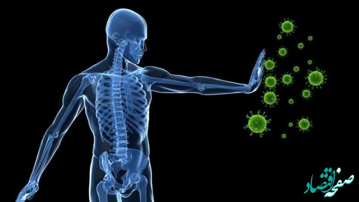 تغذیه متعادل و سالم عامل اصلی تقویت سیستم ایمنی بدن 