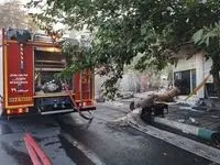 آخرین وضعیت آتش سوزی داروخانه در یوسف آباد تهران