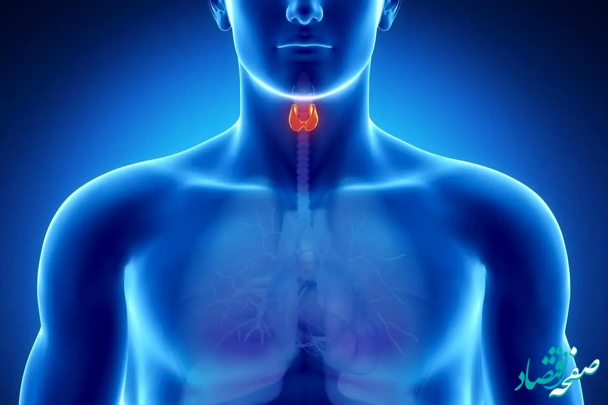 بدانید این علائم یعنی تیروئید کم کار دارید