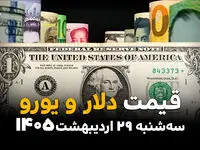 قیمت ارز آزاد امروز سه‌شنبه ۲۹ اردیبهشت ۱۴۰۵ | آخرین نرخ دلار، یورو و درهم