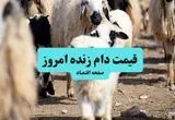 اعلام قیمت جدید دام زنده