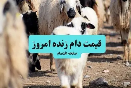 قیمت دام زنده امروز چهارشنبه ۲۹ مهر + جدول