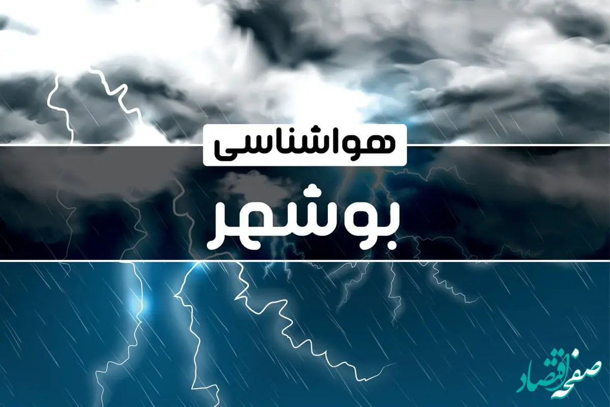 آخرین هواشناسی بوشهر طی ۲۴ ساعت آینده | پیش بینی وضعیت آب و هوا بوشهر فردا پنجشنبه ۴ بهمن ماه ۱۴۰۳ 