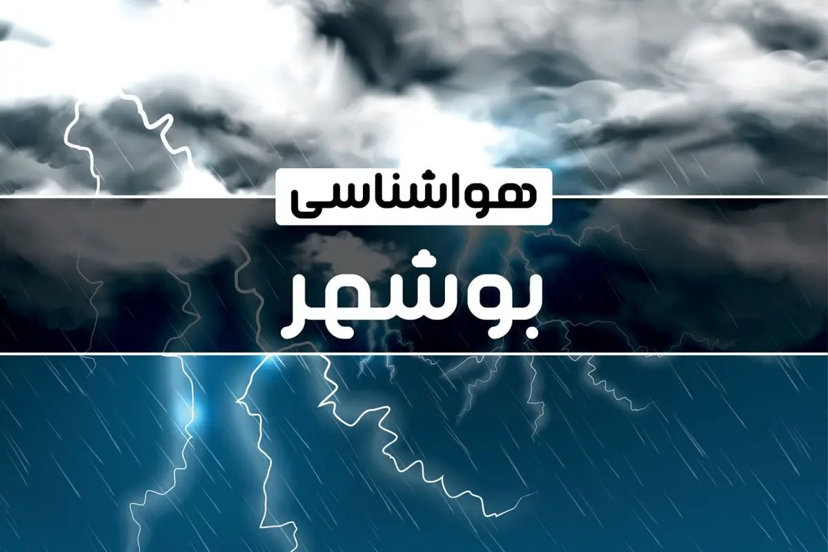 آخرین هواشناسی بوشهر طی ۲۴ ساعت آینده | پیش بینی وضعیت آب و هوا بوشهر فردا پنجشنبه ۴ بهمن ماه ۱۴۰۳