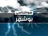 آخرین هواشناسی بوشهر طی ۲۴ ساعت آینده | پیش بینی وضعیت آب و هوا بوشهر فردا پنجشنبه ۴ بهمن ماه ۱۴۰۳ 