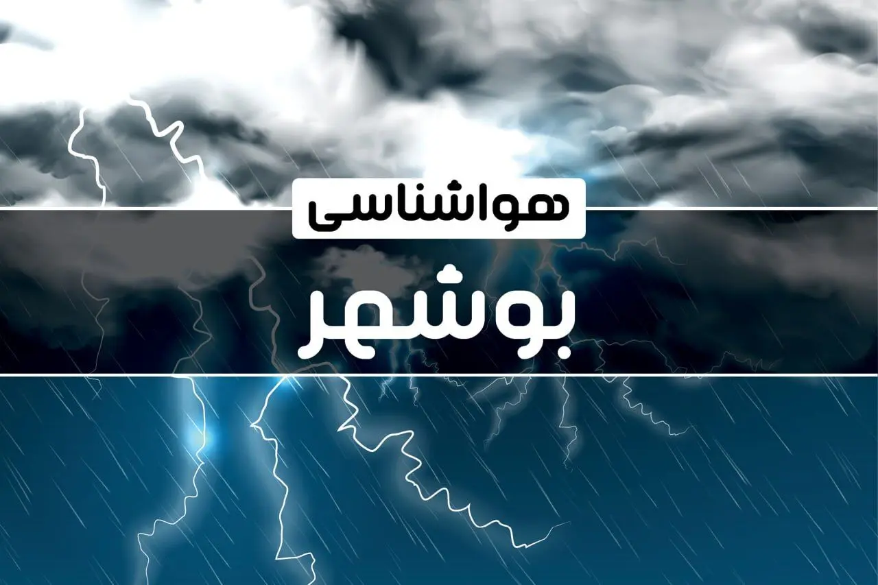 آخرین هواشناسی بوشهر طی ۲۴ ساعت آینده | پیش بینی وضعیت آب و هوا بوشهر فردا پنجشنبه ۴ بهمن ماه ۱۴۰۳ 