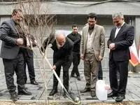 تکمیل و تسریع در واگذاری پروژه های نهضت ملی مسکن به متقاضیان / تلاش بانک مسکن در ترویج فرهنگ حفظ منابع طبیعی با کاشت نهال