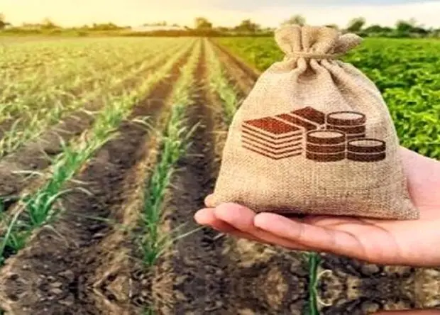 حق بیمه سهم کشاورز در قانون بودجه ۱۴۰۵ مشخص شد