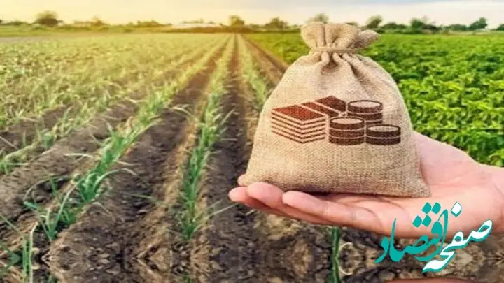 حق بیمه سهم کشاورز در قانون بودجه ۱۴۰۵ مشخص شد