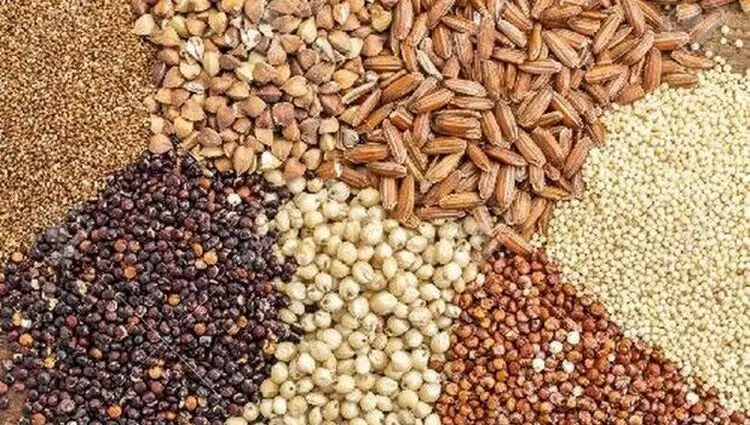 جدول قیمت انواع نهاده های دامی امروز شنبه ۱۷ مرداد ماه | قیمت سبوس گندم چند؟ 