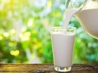 توزیع سراسری شیر در مدارس از چه زمانی آغاز می‌شود؟