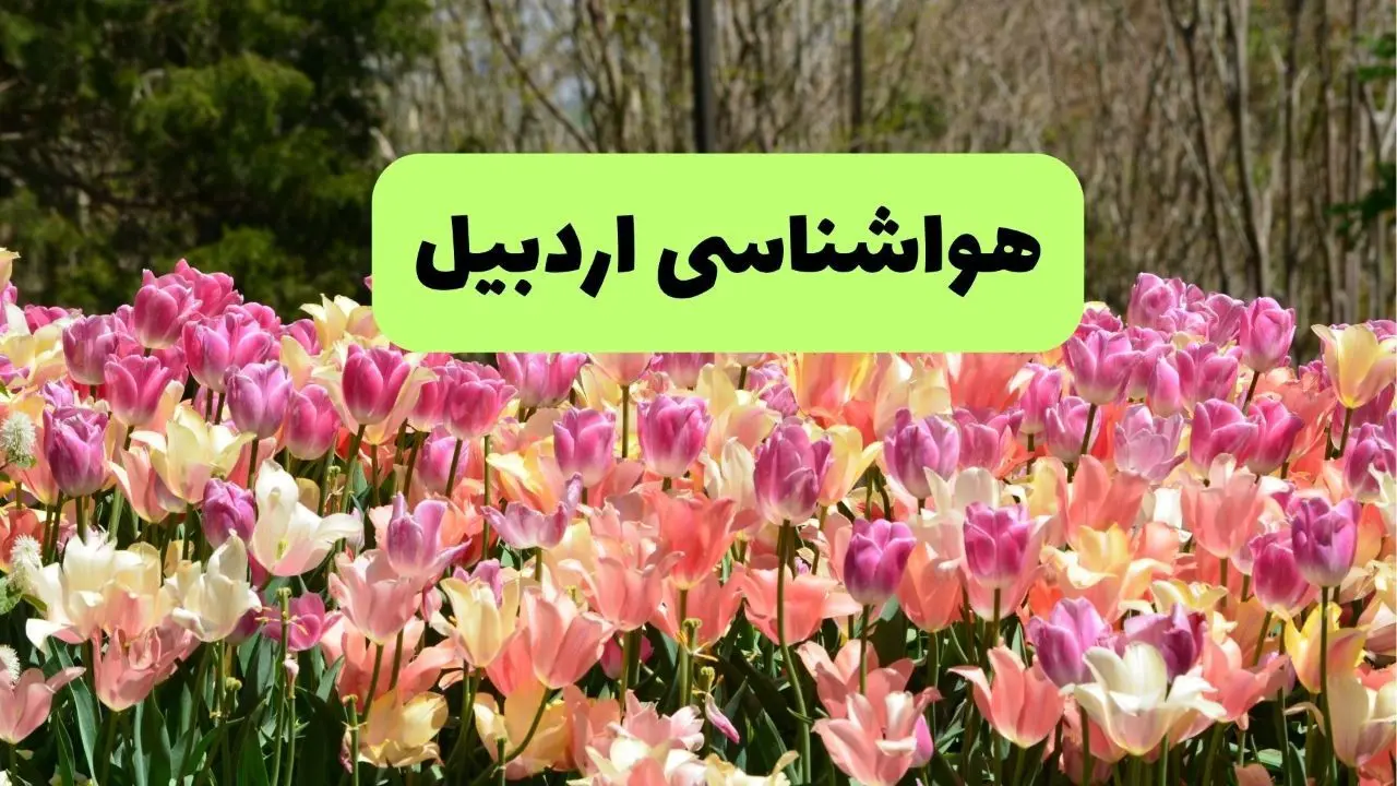 خبر فوری هواشناسی اردبیل ۲۴ ساعت آینده | پیش بینی وضعیت آب و هوا اردبیل فردا شنبه ۱۷ خرداد ماه ۱۴۰۴ 