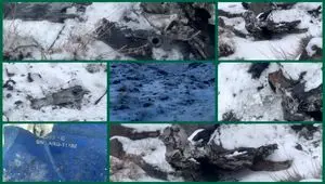 خبر فوری از انهدام یک فروند موشک کروز در روستای جاسب 