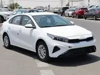 واردات خودرو حتما انجام خواهد شد