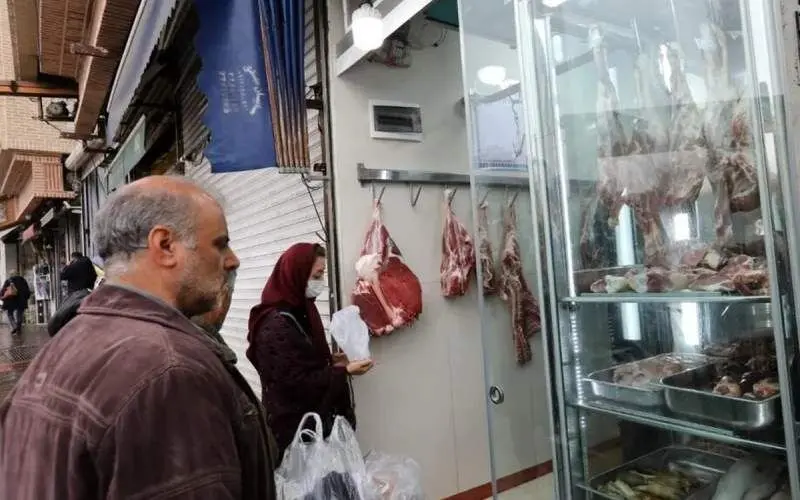 سرانه مصرف گوشت خانوارهای ایران یک ششم استاندارد‌ جهانی / فیلم