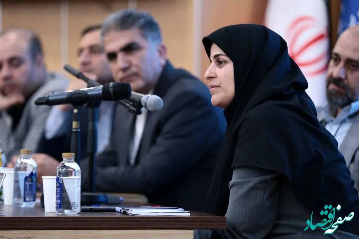 خلوصی: هدف ایمیدرو در مدل های جدید سرمایه گذاری، جهش در اکتشاف است/ یونسیان: از سرمایه گذاران حمایت بیمه ای می شود