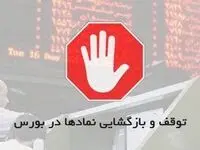 اعلام اسامی ۱۷ نماد متوقف شده در بورس
