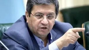 همتی: ارزش کالابرگ الکترونیک تا ۲۳ درصد افزایش می‌یابد