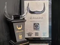 بیمه پاسارگاد تندیس بلورین پانزدهمین دوره جایزه ملی مدیریت مالی ایران را کسب کرد