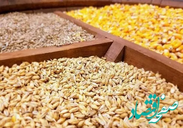  اگر حاکمیت دقت نکند تمام تولید از بین خواهد رفت