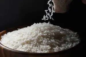 لغو ممنوعیت ترخیص برنج در سال ۱۴۰۴؛ واردات بدون وقفه آزاد شد!