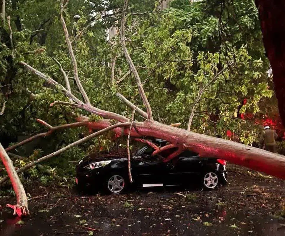 هشدار فوری در مازندران؛ طوفان شدید در مازندران یک کشته و ۲ مصدوم بر جا گذاشت