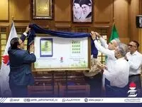 حمایت همه جانبه پتروشیمی پردیس از جنگل‌های حرا