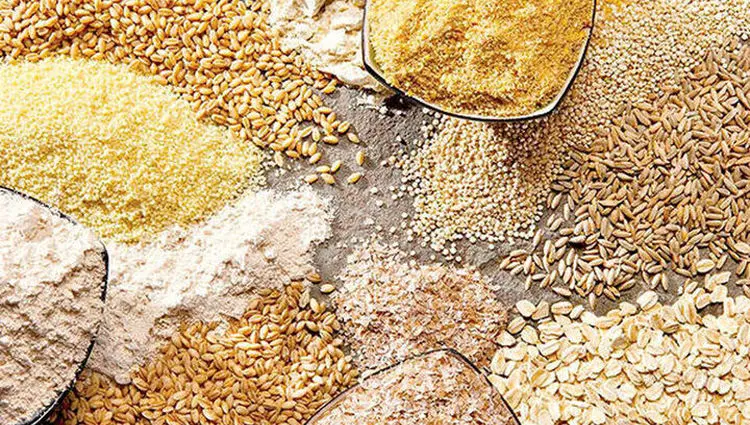 جدول قیمت نهاده های دامی امروز سه شنبه ۱۹ اسفند ۱۴۰۴ اعلام شد