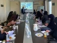 جزیره کیش نخستین منطقه آزاد کشور در اجرای طرح توسعه مشاغل خانگى