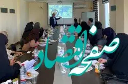 جزیره کیش نخستین منطقه آزاد کشور در اجرای طرح توسعه مشاغل خانگى