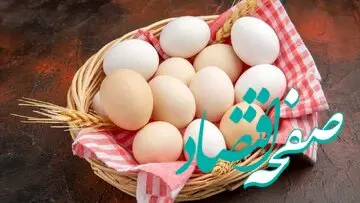 قیمت تخم مرغ در بازار روز چهارشنبه ۴ بهمن ۱۴۰۲ چقدر شد؟