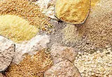 قیمت نهاده های دامی و کشاورزی امروز یکشنبه ۱ شهریور + جدول