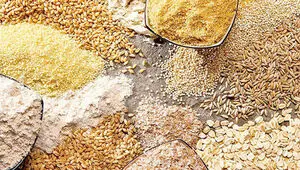 قیمت نهاده های دامی و کشاورزی امروز یکشنبه ۱ شهریور + جدول