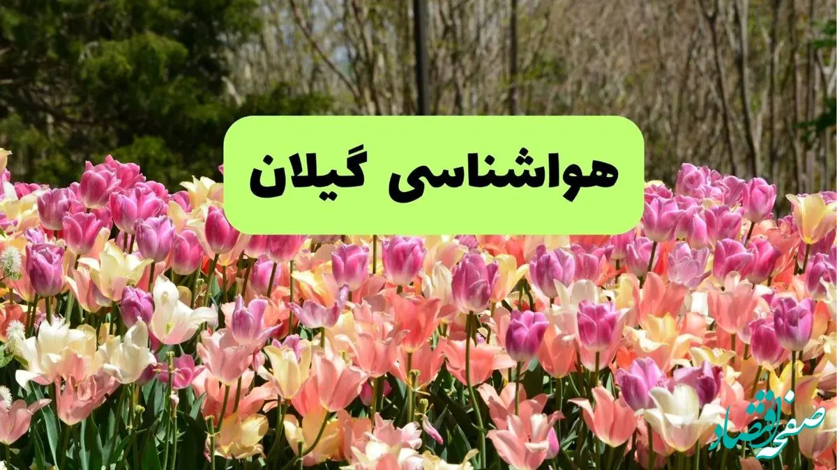 پیش بینی وضعیت آب و هوا گیلان پنجشنبه ۲۲ خرداد ماه ۱۴۰۴ + هواشناسی گیلان امروز