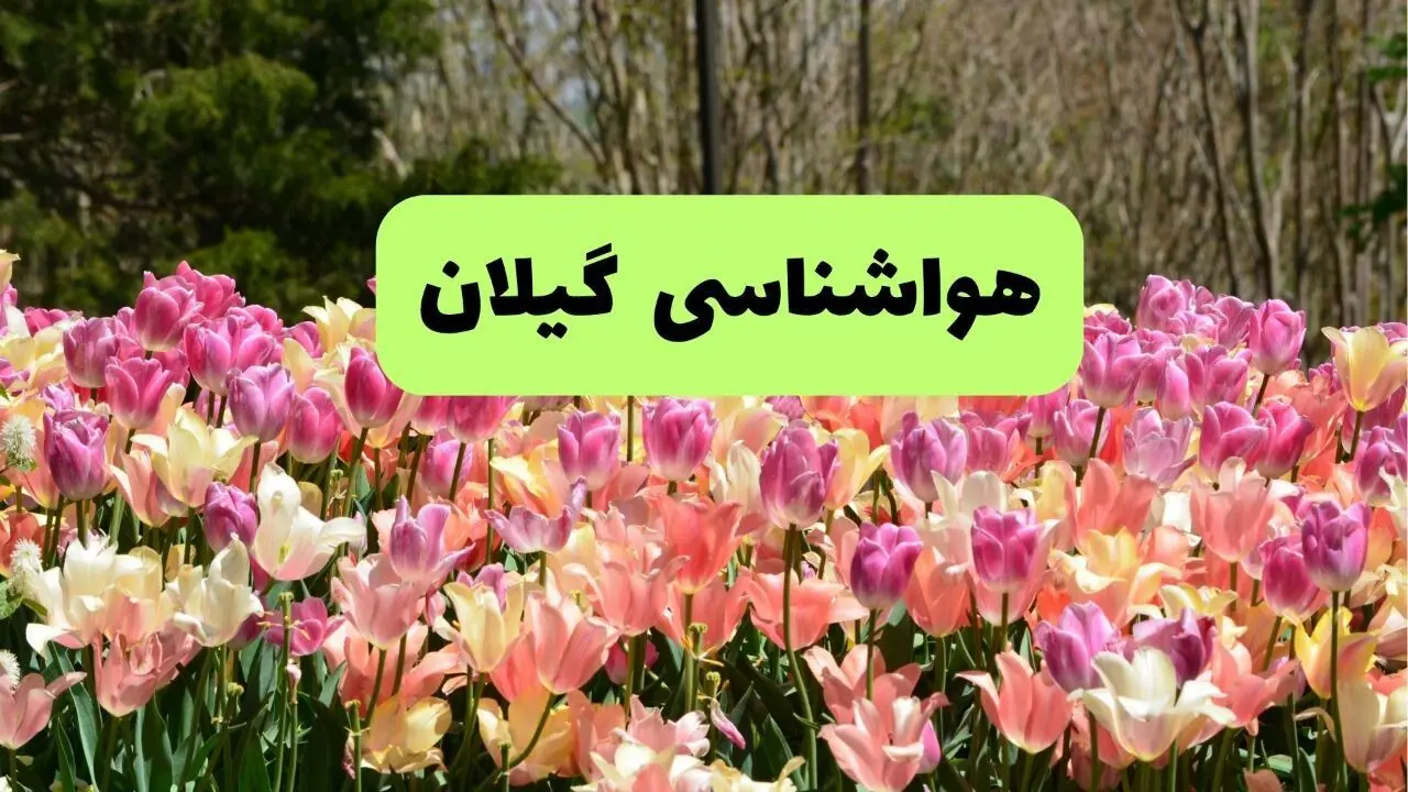 وضعیت آب و هوا گیلان فردا جمعه ۱۳ تیر ماه ۱۴۰۴ | پیش بینی هواشناسی گیلان و رشت ۲۴ ساعت آینده