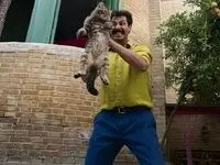 خلاصه داستان فیلم سال گربه + بیوگرافی بازیگران سریال سال گربه