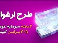 مبلغ تسهیلات طرح ارغوان بانک سینا افزایش یافت