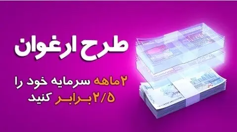 مبلغ تسهیلات طرح ارغوان بانک سینا افزایش یافت