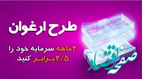 مبلغ تسهیلات طرح ارغوان بانک سینا افزایش یافت