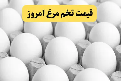 قیمت تخم مرغ امروز ۸ مهر ۱۴۰۵؛ شانه تخم مرغ چند تومان شد؟