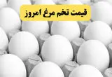 اعلام به‌روزترین قیمت تخم مرغ امروز سه شنبه ۳۰ اردیبهشت ۱۴۰۴ | هر شانه تخم مرغ امروز چند شد؟