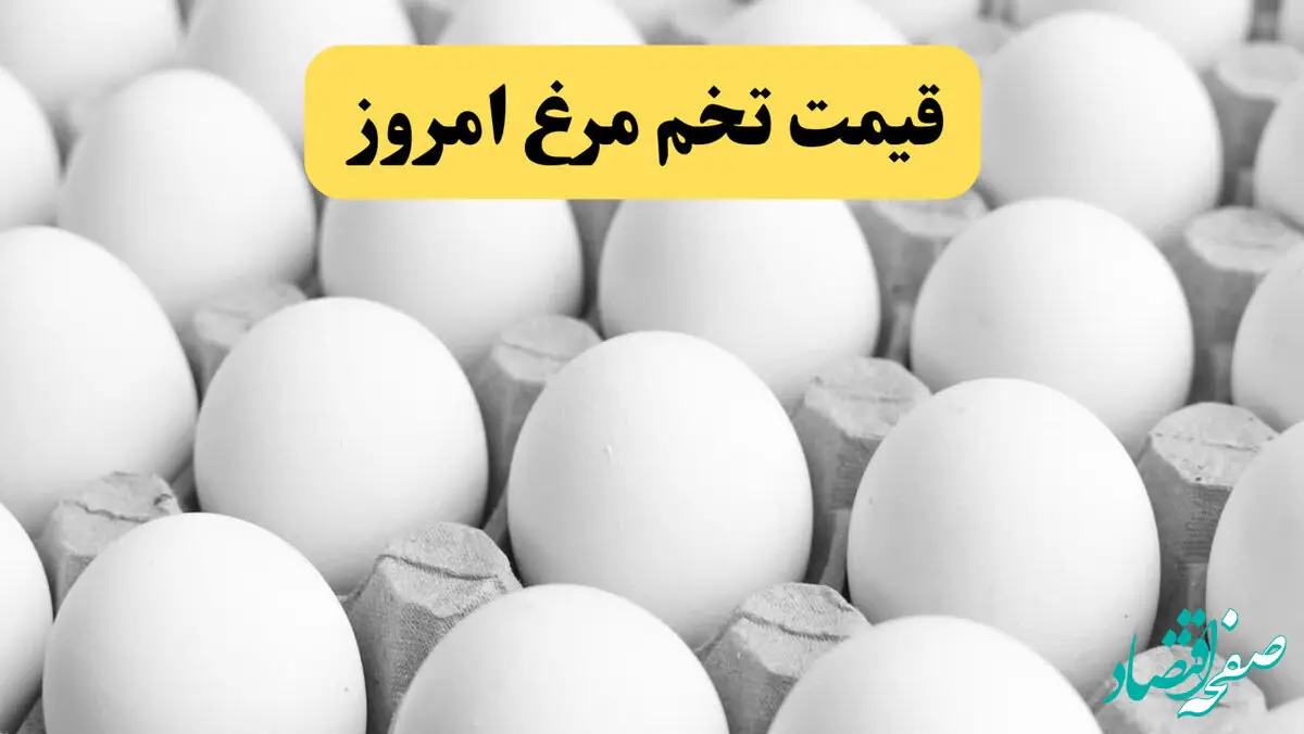 اعلام جدیدترین قیمت تخم‌مرغ امروز سه‌شنبه ۶ خرداد ۱۴۰۴ | هر دانه تخم مرغ محلی چند؟